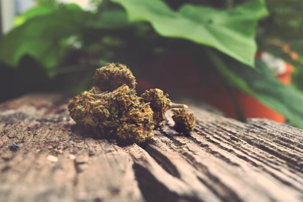Key Features to Look for in a Canadian Online Dispensary