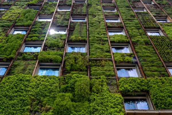 10 Green Building Techniques That Improve Energy Efficiency and Durability